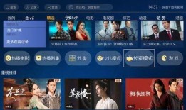 国产视频在线看