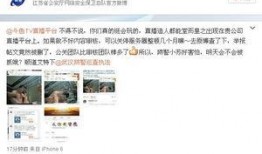 国产主播做爰直播,爰情直播现象背后的伦理与争议