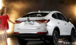 国产1级,引领科技潮流，铸就民族品牌辉煌