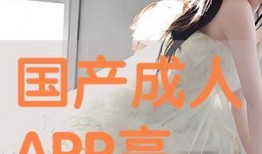 国产成人在线看