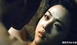 国产成人在线看