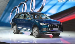 国产1级,引领科技潮流，铸就民族品牌辉煌