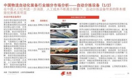 国产30页,深度解析我国科技发展的新篇章