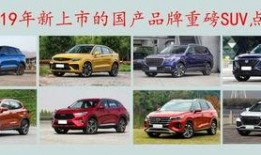 2019国产精品,匠心独运，绽放时代光彩