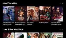 国产最新在线,在线领域创新力作盘点