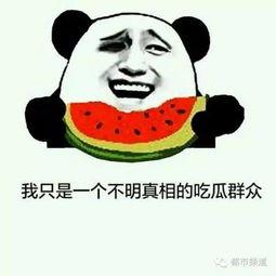 娱乐吃瓜场湛江话怎么说,娱乐吃瓜场，一网打尽娱乐圈新鲜事